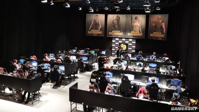 频次与时机 频次与时机